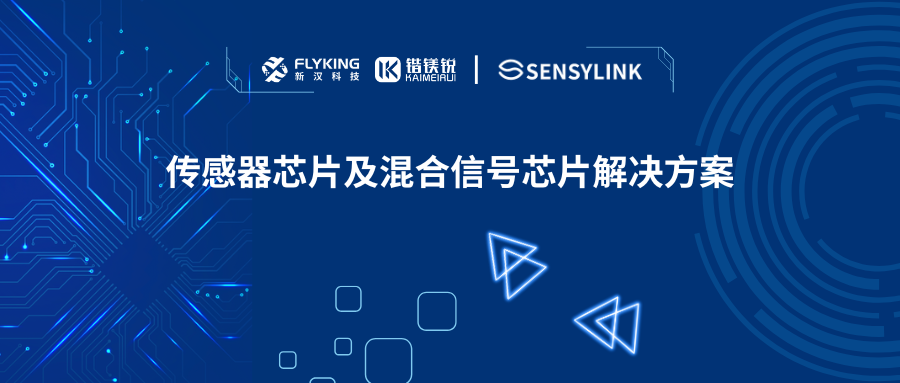 芯版圖 | 攜手申矽凌，高性能傳感器芯片及混合信號芯片已就位