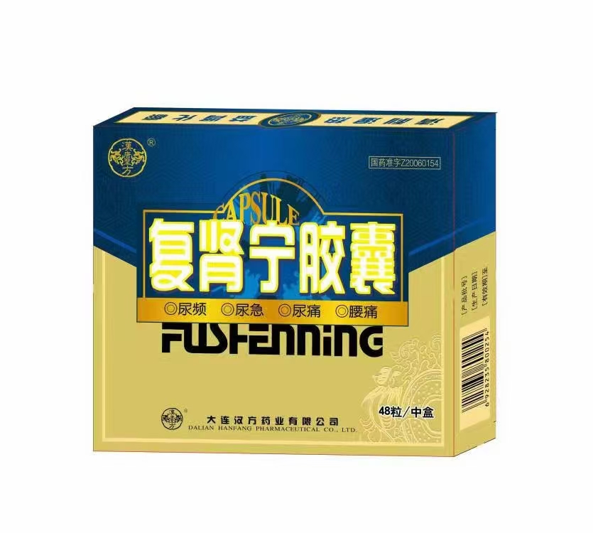 復(fù)腎寧膠囊
